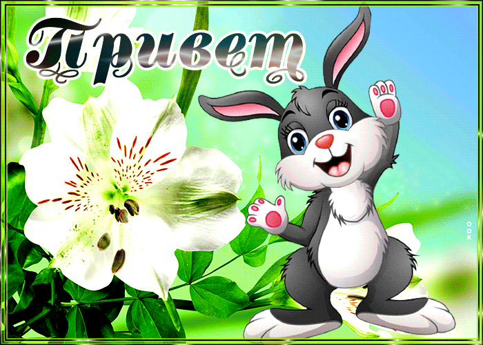 http://upforme.ru/uploads/001b/e5/71/3/590567.gif
