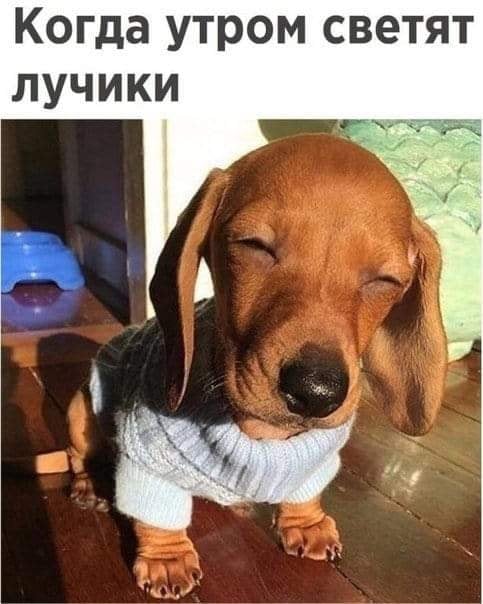 http://upforme.ru/uploads/001b/e5/71/3/591362.jpg