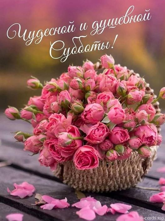 http://upforme.ru/uploads/001b/e5/71/3/732729.jpg