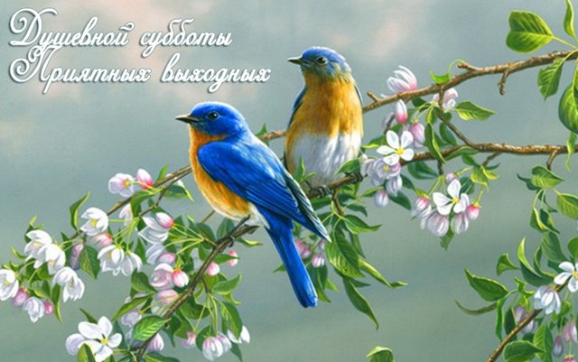 http://upforme.ru/uploads/001b/e5/71/3/745964.jpg