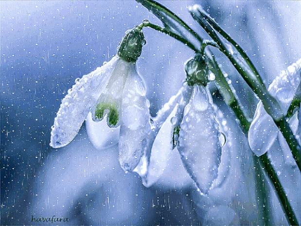 http://upforme.ru/uploads/001b/e5/71/3/750797.gif