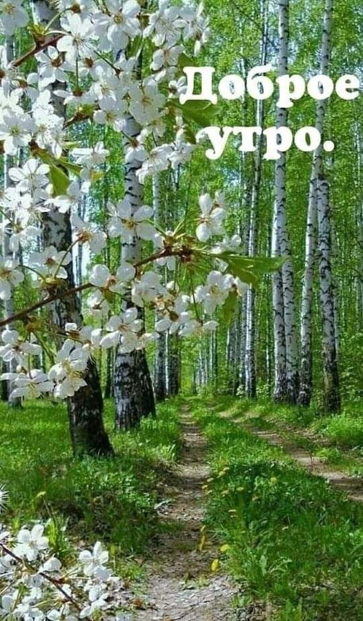 http://upforme.ru/uploads/001b/e5/71/3/805993.jpg