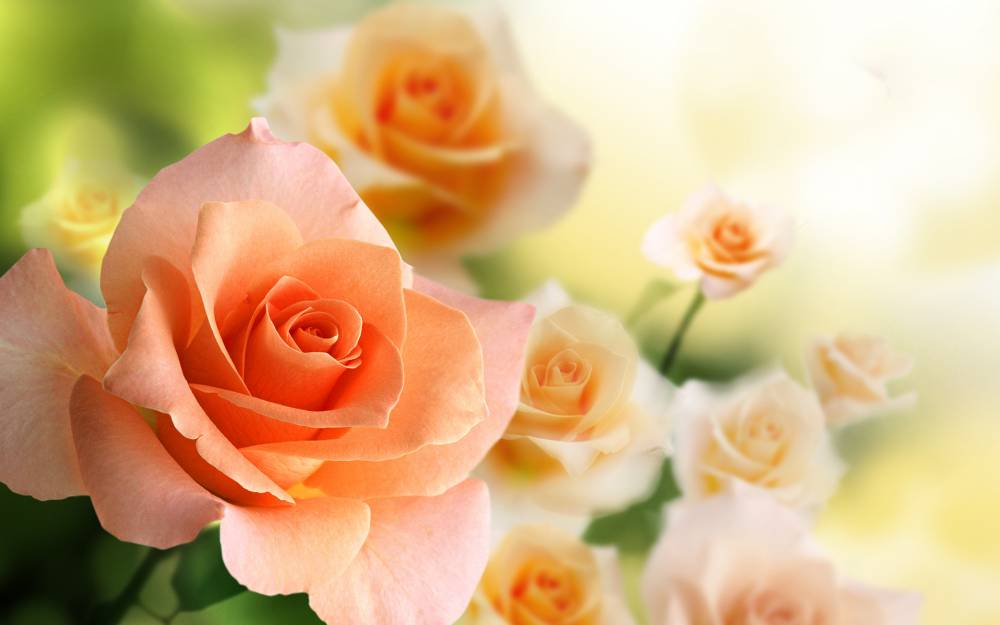http://upforme.ru/uploads/001b/e5/71/3/814384.jpg