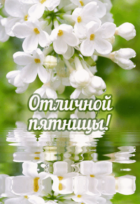 http://upforme.ru/uploads/001b/e5/71/3/824824.gif
