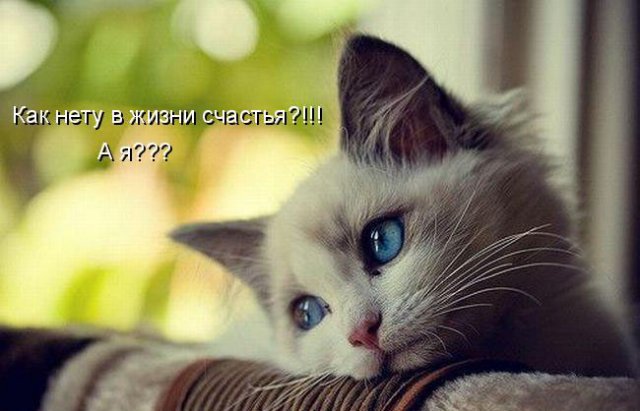 http://upforme.ru/uploads/001b/e5/71/6/343193.jpg