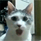 http://upforme.ru/uploads/001b/eb/69/2/128002.gif