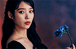 http://upforme.ru/uploads/001b/ed/19/49/759531.gif