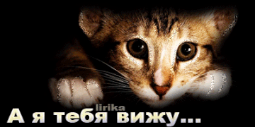 http://upforme.ru/uploads/001b/ef/93/2/t216752.gif