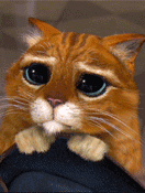 http://upforme.ru/uploads/001b/ef/93/2/t283357.gif