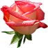 http://upforme.ru/uploads/001b/ef/93/2/t293561.png