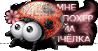 http://upforme.ru/uploads/001b/ef/93/2/t308284.gif