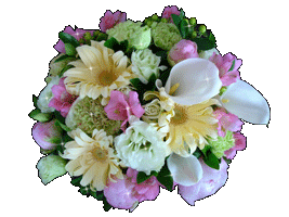 http://upforme.ru/uploads/001b/ef/93/2/t945771.gif