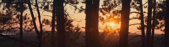 http://upforme.ru/uploads/001b/ef/ad/14/660749.gif