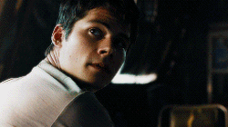 http://upforme.ru/uploads/001b/ef/c1/8/t16716.gif