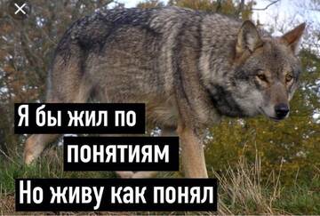 http://upforme.ru/uploads/001b/f0/4a/2/t675010.jpg