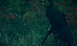 http://upforme.ru/uploads/001b/f2/70/76/34180.gif