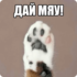 http://upforme.ru/uploads/001b/f7/65/3/217341.png