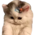 http://upforme.ru/uploads/001b/f7/65/3/223310.png
