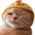 http://upforme.ru/uploads/001b/f7/65/3/855901.png