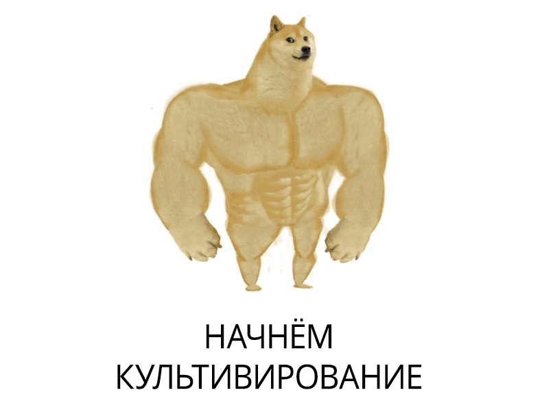 http://upforme.ru/uploads/001b/f8/8d/26/674166.jpg