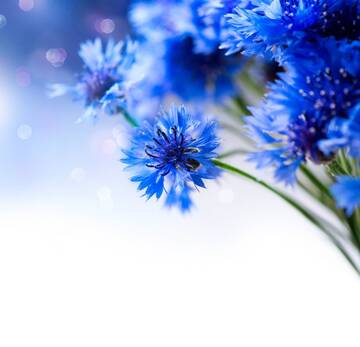http://upforme.ru/uploads/001b/fb/85/2/t499518.jpg