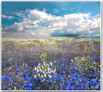 http://upforme.ru/uploads/001b/fb/85/2/t717750.jpg