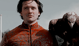 http://upforme.ru/uploads/001b/fc/be/2/213838.gif