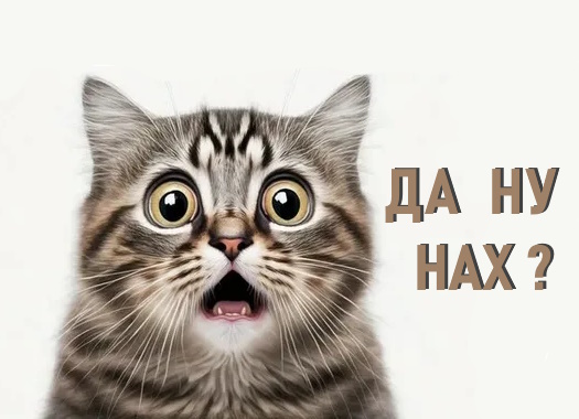 http://upforme.ru/uploads/001c/04/b4/2/167473.jpg