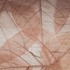 http://upforme.ru/uploads/001c/0a/48/35/969766.png