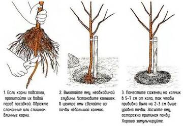 http://upforme.ru/uploads/001c/0d/c8/2/t387323.jpg