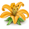 http://upforme.ru/uploads/001c/0f/4d/2/334500.png
