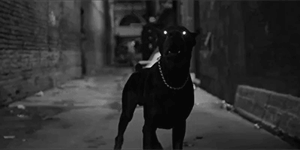 http://upforme.ru/uploads/001c/0f/4d/2/335325.gif