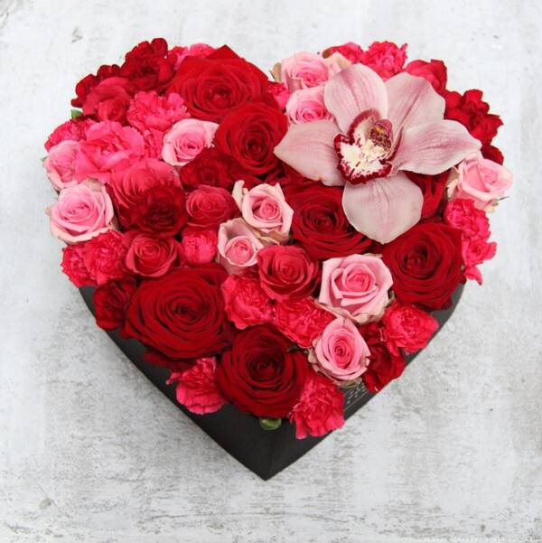 http://upforme.ru/uploads/001c/14/0c/2/t941960.jpg