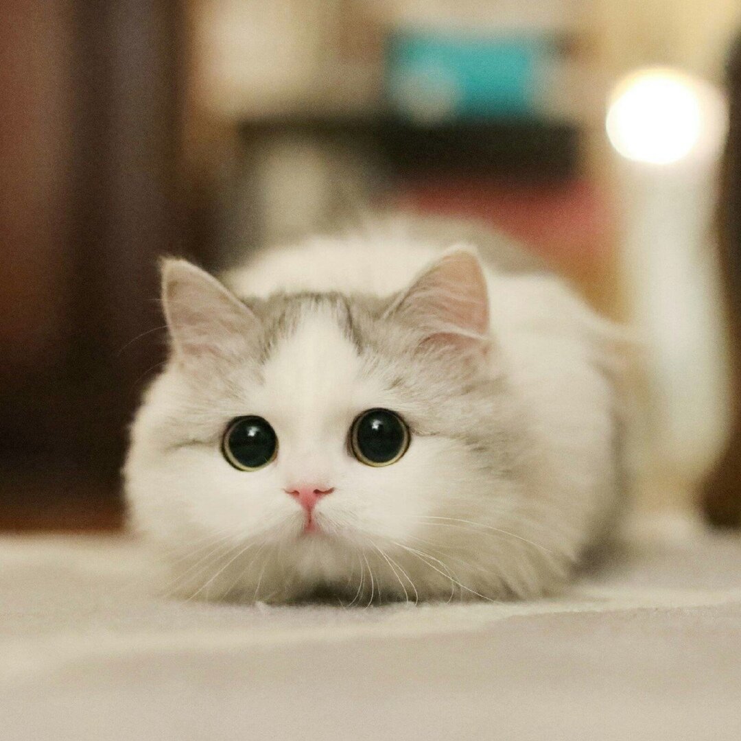 http://upforme.ru/uploads/001c/46/af/2/585351.jpg