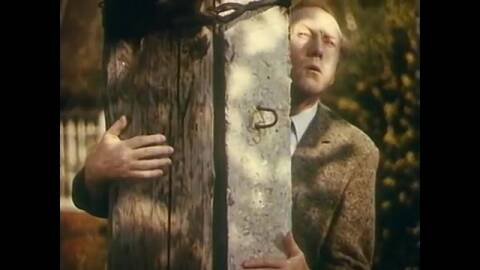 ��� �������