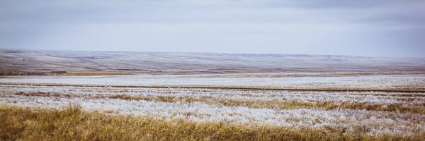 �����.. �����..