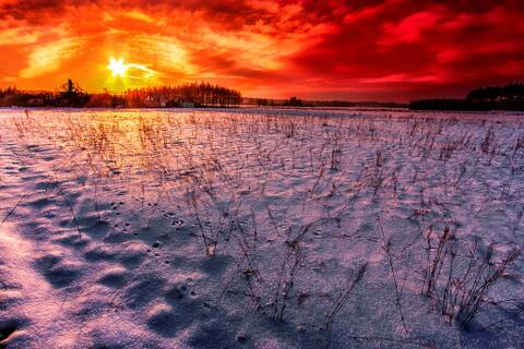 ������ ���� !