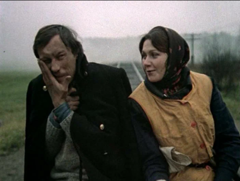 ������ ��������