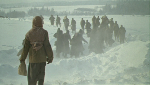 ������� ��������� �����������