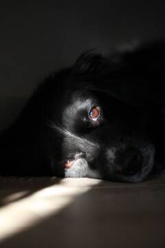 ��������������