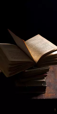 �������� ���������