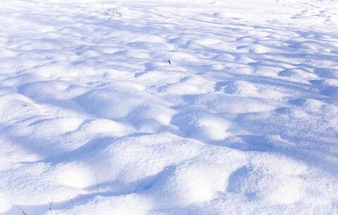 В той пьесе.. где мне роль отведена В той пьесе.. где мне роль отведена