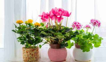 https://upforme.ru/uploads/0000/02/10/670/t119051.jpg