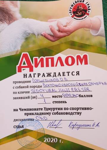 https://upforme.ru/uploads/0000/09/47/8386/t500493.jpg