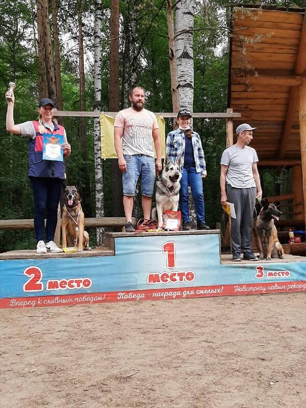 https://upforme.ru/uploads/0000/09/47/8386/t970434.jpg