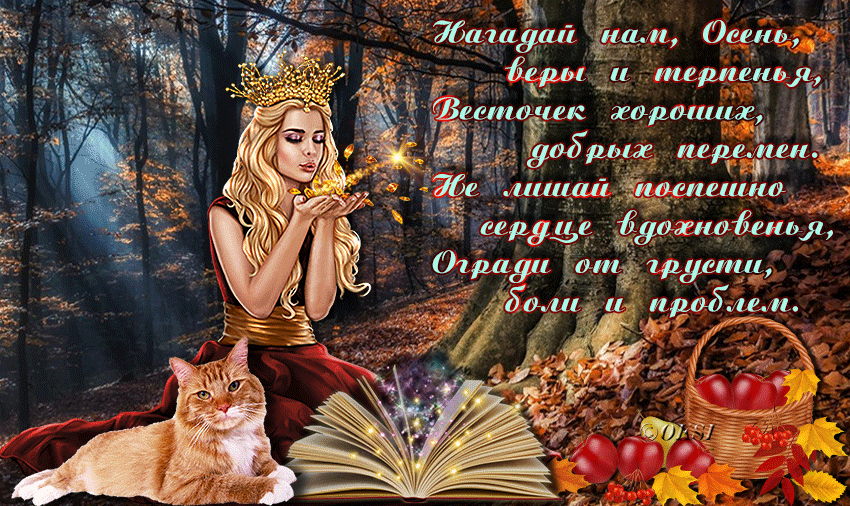 https://upforme.ru/uploads/0000/09/8a/2/750071.gif