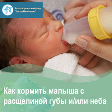 https://upforme.ru/uploads/0000/09/a0/10791/t527974.jpg