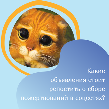 https://upforme.ru/uploads/0000/09/a0/10791/t758754.png