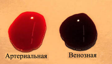 https://upforme.ru/uploads/0000/0a/bc/12559/t163736.jpg