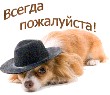 https://upforme.ru/uploads/0000/0a/bc/4684/t205793.gif